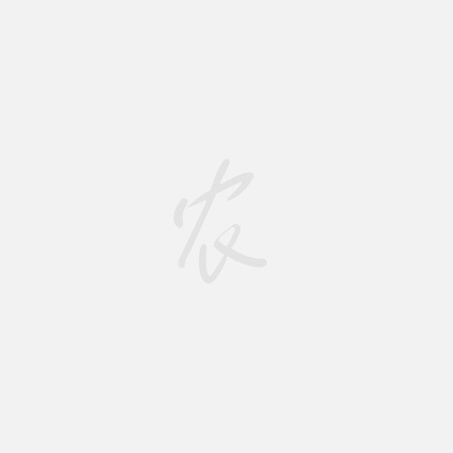 水果蔬菜